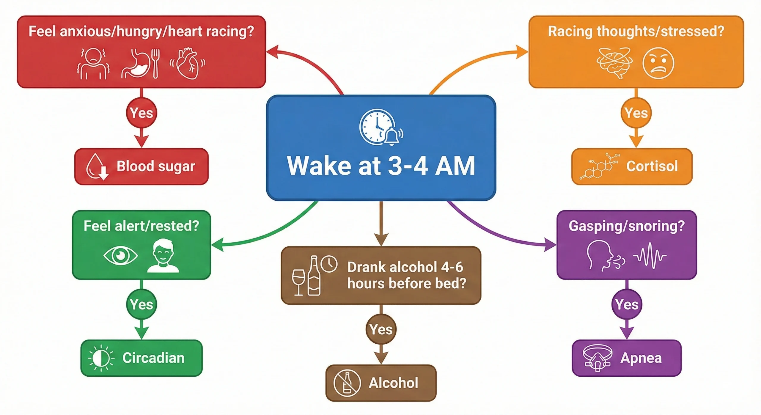 Decision tree flowchart helping identify cause of 3-4 AM waking based on symptoms: anxious/hungry suggests blood sugar, racing thoughts suggests cortisol, alert suggests circadian, gasping suggests apnea